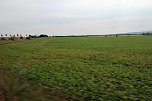 Landwirte auf Flurfahrt (Foto: Karl-Heinz Herrmann)