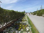 Landesgartenschau in Schmalkalden (Foto: Peter Blei)