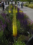 Landesgartenschau in Schmalkalden (Foto: Peter Blei)