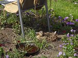 Landesgartenschau in Schmalkalden (Foto: Peter Blei)