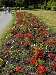 Landesgartenschau in Schmalkalden (Foto: Peter Blei)