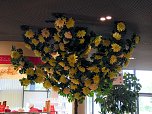 Landesgartenschau in Schmalkalden (Foto: Peter Blei)