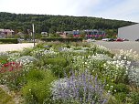 Landesgartenschau in Schmalkalden (Foto: Peter Blei)