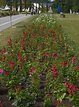 Landesgartenschau in Schmalkalden (Foto: Peter Blei)