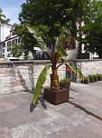 Unterwegs in Schmalkalden (Foto: Peter Blei)