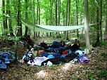 Abenteuer in der Wildnis vor der eigenen Haust&uuml;r - Ellrichs Regelsch&uuml;ler erkundeten den Stadtwald (Foto: Daniela Hottenroth)