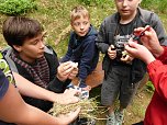 Abenteuer in der Wildnis vor der eigenen Haust&uuml;r - Ellrichs Regelsch&uuml;ler erkundeten den Stadtwald (Foto: Daniela Hottenroth)