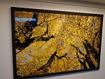 Kunst im Doppelpack (Foto: Hans-Georg Backhaus)