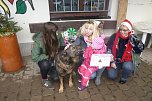 Weihnachtsmarkt im Tierheim (Foto: privat)