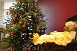 Weihnachtstr&auml;ume in der Traditonsbrennerei (Foto: nnz)