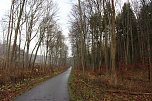 Verkehrssicherungspflicht mit Augenma&szlig;? (Foto: Karl-Heinz Herrmann)
