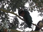 Peter Blei zu Besuch im W&ouml;rlitzer Park (Foto: Peter Blei)