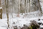 Die "kalte Kelle" (Foto: Ch. Schelauske)