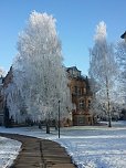 AWO Seniorenpark Am Schlosspark  (Foto: AWO Seniorenpark Am Schlosspark )