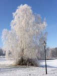 AWO Seniorenpark Am Schlosspark  (Foto: AWO Seniorenpark Am Schlosspark )