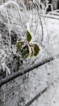 Seltenes Wetterph&auml;nomen (Foto: Peter Blei)