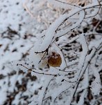 Seltenes Wetterph&auml;nomen (Foto: Peter Blei)