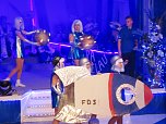 Narrenvolk feiert in Bebra (Foto: Karnevalslverein Blau-Weiss)