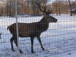 Winter im Nordh&auml;user Stadtpark (Foto: I. Domogalski)