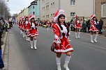 N&auml;rrinnen und Narren trotzen Wetter (1) (Foto: Karl-Heinz Herrmann)