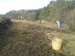 Arbeitseinsatz des Nordh&auml;user BUND (Foto: Bodo Schwarzberg)