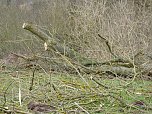 Tornado &uuml;berm S&uuml;dharz (Foto: Tim Sch&auml;fer)