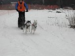 Schlittenhunderennen 2016 in Benneckenstein (Foto: Peter Blei)