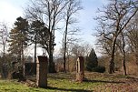 Der Frühling kommt - im Park Hohenrode ist er schon ein bisschen da (Foto: Angelo Glashagel) Der Frühling kommt - im Park Hohenrode ist er schon ein bisschen da (Foto: Angelo Glashagel)