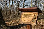Der Frühling kommt - im Park Hohenrode ist er schon ein bisschen da (Foto: Angelo Glashagel) Der Frühling kommt - im Park Hohenrode ist er schon ein bisschen da (Foto: Angelo Glashagel)