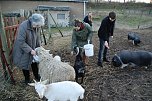 Riesenspa&szlig; beim F&uuml;ttern von Ziegen, Schafen und Schweinen im Streichelzoo. Im Bild von links: Jutta Fischer, Cathleen Scheiner, Alexandra B&ouml;ttger und Martin Schulze. (Foto: Jochen Miche)