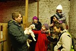 Ziegen sind recht scheu. Streicheleinheiten m&ouml;gen sie aber dennoch. Und viele Menschen m&ouml;gen es ihrerseits, Ziegen zu streicheln, ganz besonders dann, wenn sie so niedlich wie dieses Ziegenbaby sind. (Foto: Jochen Miche)