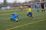 Die U9 stehen im Finale (Foto: Martina Nebelung)