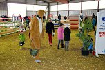 Hallenreitturnier in Immenrode (Foto: Bernd Peter)