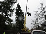 Das Mammut ist umgezogen (Foto: nnz)