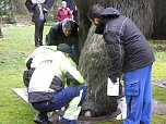Das Mammut ist umgezogen (Foto: nnz)