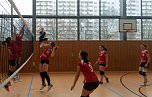 Saisonabschluss für Volleyballerinnen vom SV Rot Weiß Wiehe (Foto: SV Rot-Weiß Wiehe) Saisonabschluss für Volleyballerinnen vom SV Rot Weiß Wiehe (Foto: SV Rot-Weiß Wiehe)