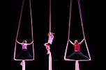 No money - pure honey - die Kinder des Zirkus Zappelini zeigten am Abend, was sie drauf haben (Foto: Angelo Glashagel) No money - pure honey - die Kinder des Zirkus Zappelini zeigten am Abend, was sie drauf haben (Foto: Angelo Glashagel)