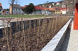 Massenandrang im Kurpark Bad Frankenhausen (Foto: Karl-Heinz Herrmann)