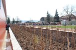 Massenandrang im Kurpark Bad Frankenhausen (Foto: Karl-Heinz Herrmann)