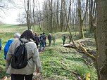 Karstwanderung zum Ochsenloch bei Harztor (Foto: L. Schubert)