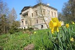 Der Fr&uuml;hling hat schon lange Einzug gehalten im Park Hohenrode (Foto: Angelo Glashagel)