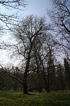 Der Fr&uuml;hling hat schon lange Einzug gehalten im Park Hohenrode (Foto: Angelo Glashagel)