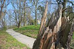 Der Fr&uuml;hling hat schon lange Einzug gehalten im Park Hohenrode (Foto: Angelo Glashagel)