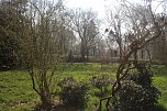 Der Fr&uuml;hling hat schon lange Einzug gehalten im Park Hohenrode (Foto: Angelo Glashagel)