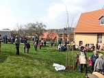 Baumfest in Leimbach (Foto: privat)