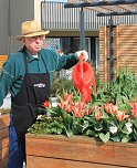 Der Fr&uuml;hling kehrt ein (Foto: Seniorenresidenz)