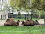 Tiergarten Delitzsch (Foto: Peter Blei)