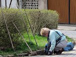 Fr&uuml;hjahrsputz (Foto: Witzel)