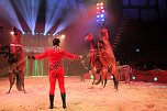 Zirkus Knie in Nordhausen (Foto: Peter Blei) Zirkus Knie in Nordhausen (Foto: Peter Blei)