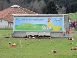 L&auml;mmerfest auf der Ziegenalm (Foto: Peter Blei)